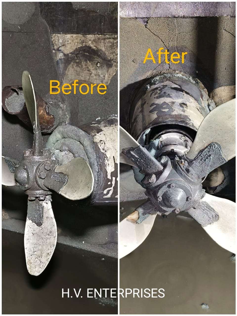 WhatsApp Image 2025-10-27 at 2.09.03 PM