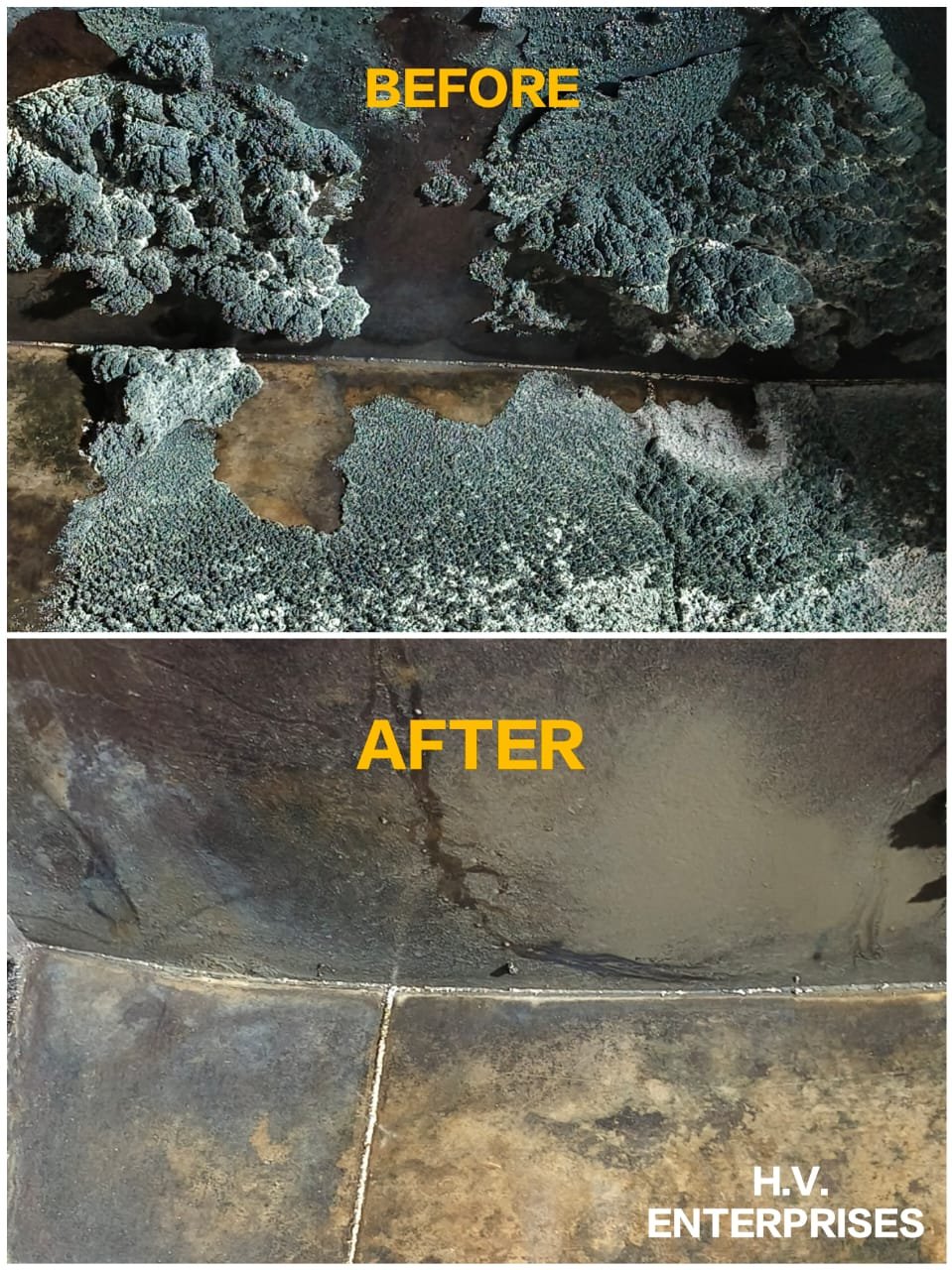 WhatsApp Image 2025-10-27 at 2.09.05 PM